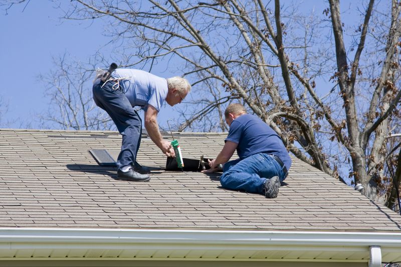 Professional Asphalt Roof Repair 1