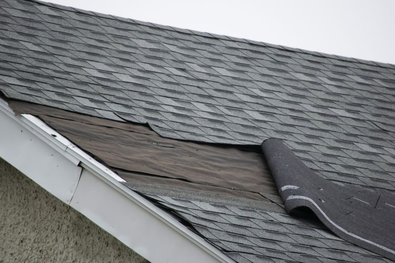 Shingle Roof Repair